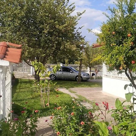 Vasiliki'S Guest House Vergia 外观 照片