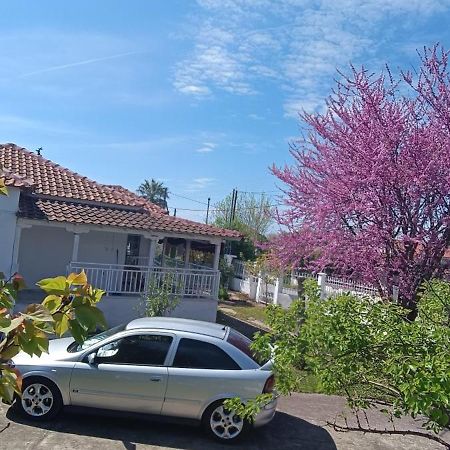 Vasiliki'S Guest House Vergia 外观 照片