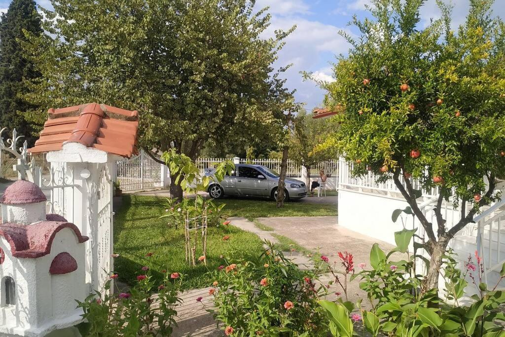 Vasiliki'S Guest House Vergia 外观 照片
