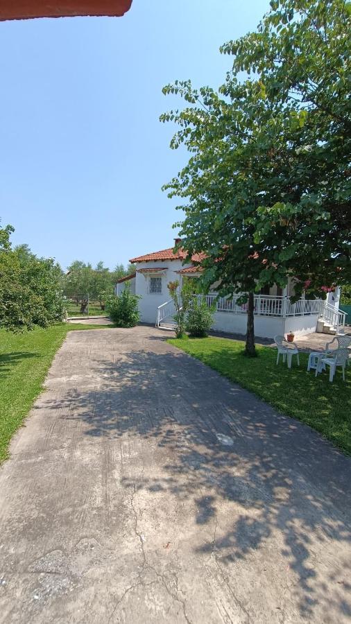 Vasiliki'S Guest House Vergia 外观 照片