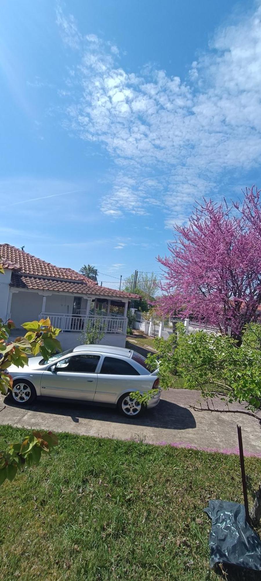Vasiliki'S Guest House Vergia 外观 照片